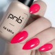 Гел лак PNB 8 мл 145